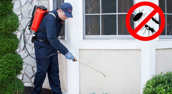 Karayazı Böcek ve Haşere İlaçlama böcek ilaçlama ve haşere kontrolü — ilaclama-tr.com